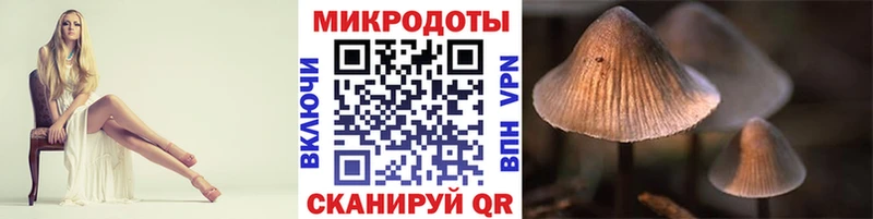 что такое Томилино Галлюциногенные грибы ЛСД